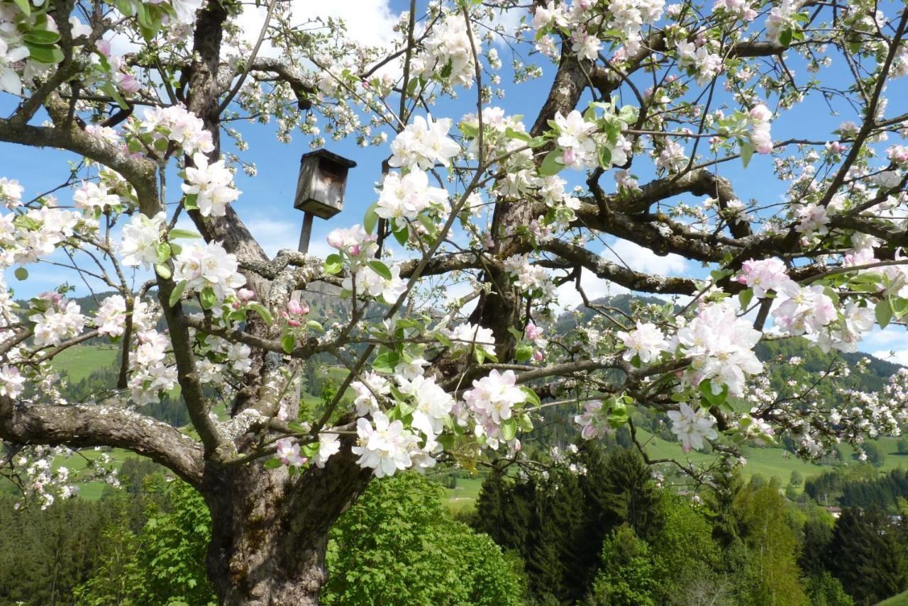 Apartmán Filzenhof Kitzbühel Pokoj fotografie