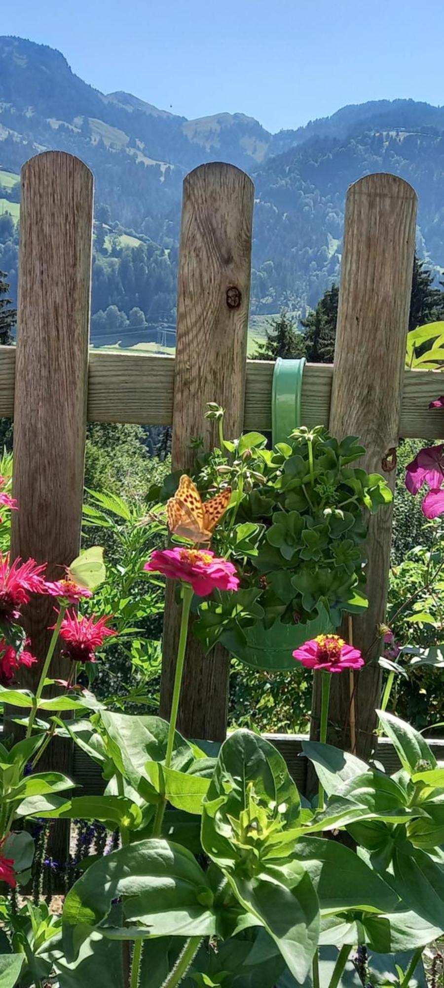 Apartmán Filzenhof Kitzbühel Exteriér fotografie